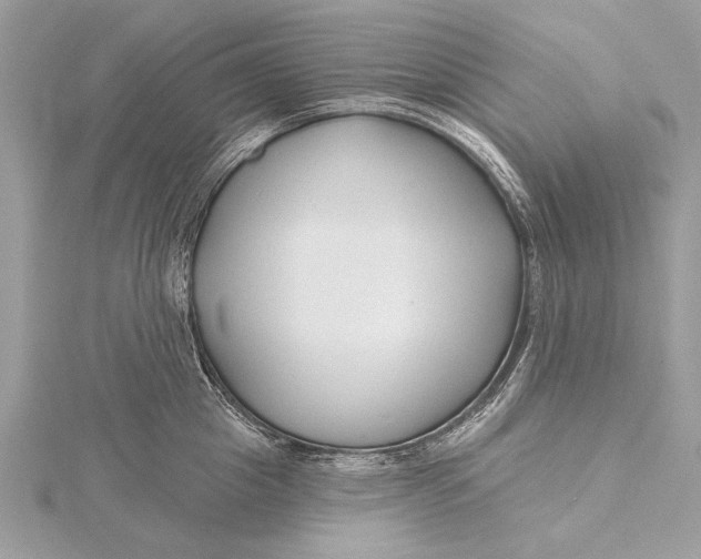 X0000115790857200912041511