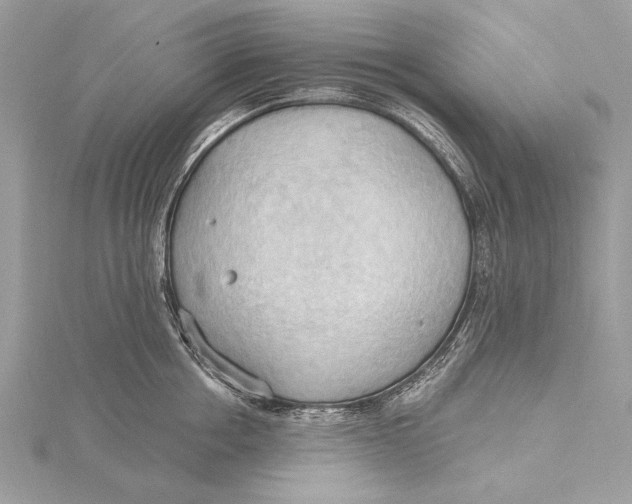 X0000115790858200912041511