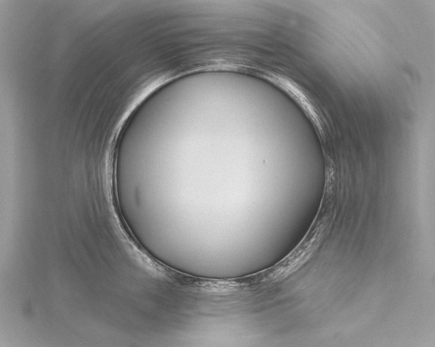 X0000115790859200912041511