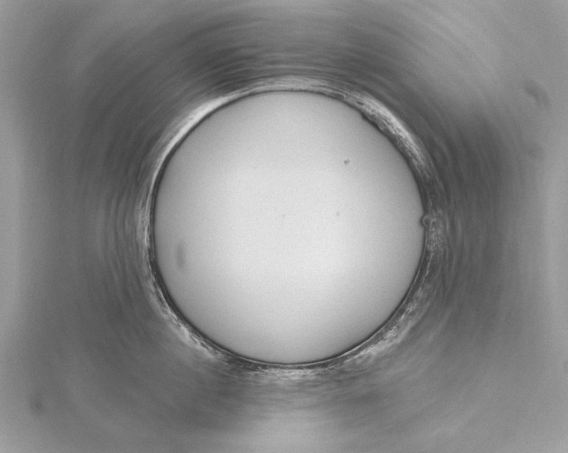 X0000115790860200912041511