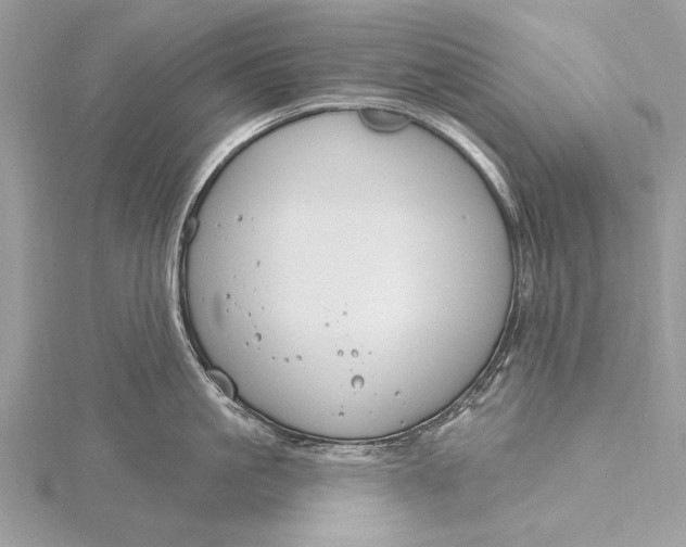 X0000115790861200912041511