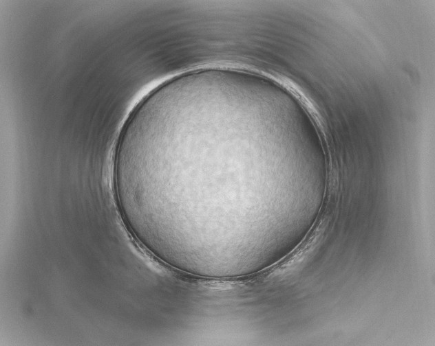 X0000115790862200912041511