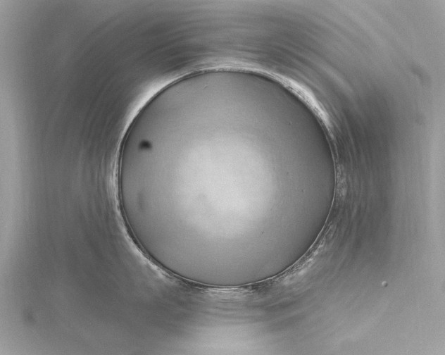 X0000115790863200912041511