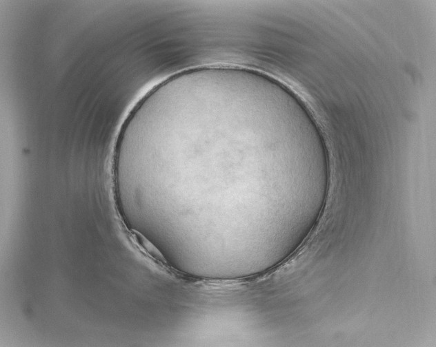 X0000115790864200912041511