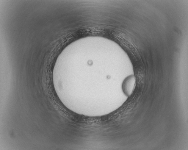 X0000115790865200912041510