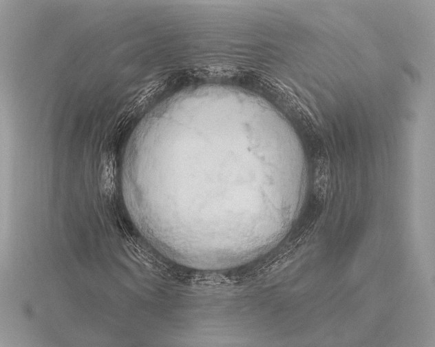 X0000115790866200912041510