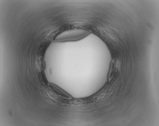 X0000115790868200912041510