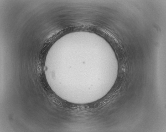 X0000115790869200912041510