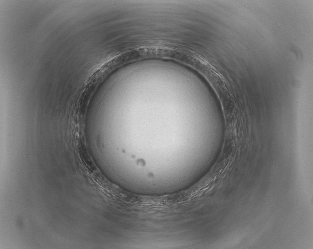 X0000115790870200912041510