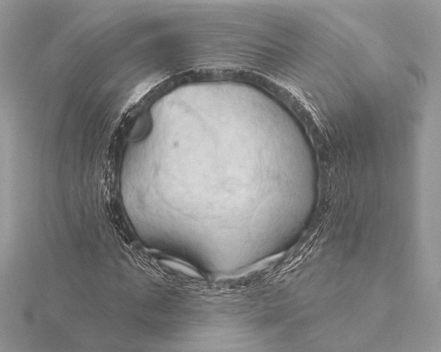 X0000115790871200912041510