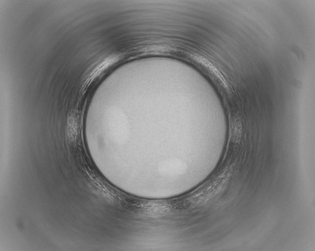 X0000115790874200912041510