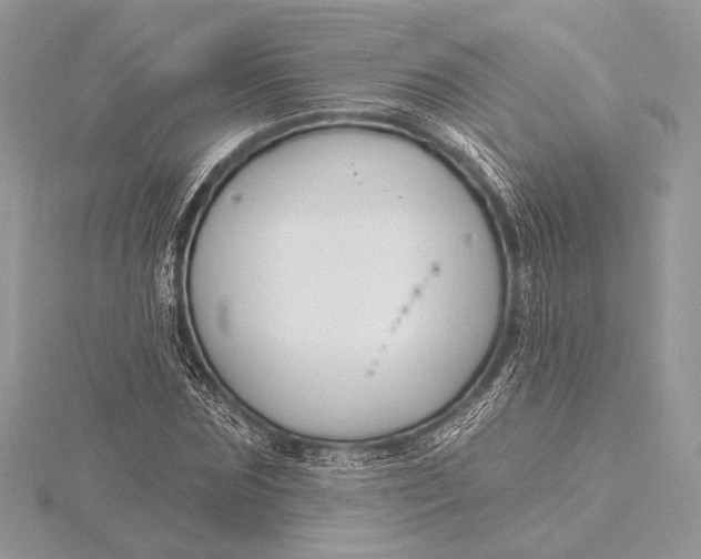 X0000115790875200912041510