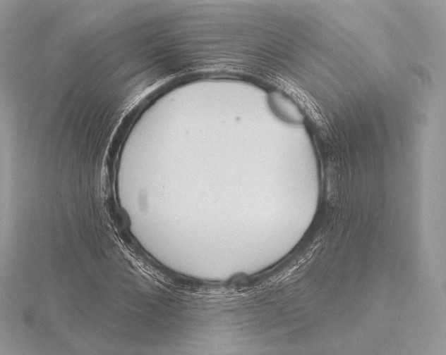 X0000115790876200912041510