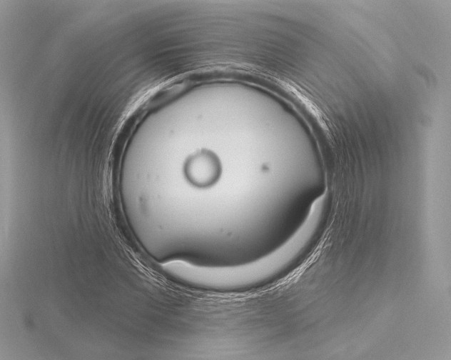 X0000115790877200912041510