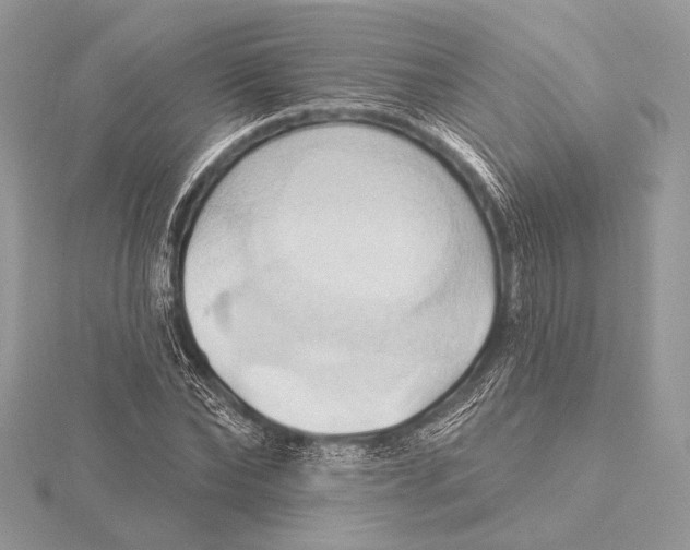 X0000115790878200912041510