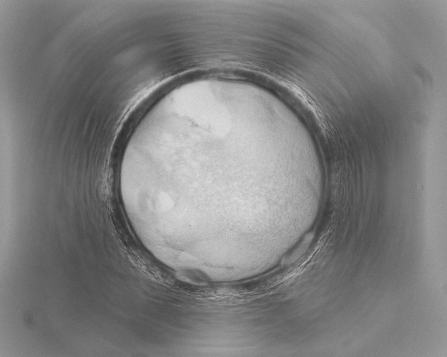 X0000115790879200912041510