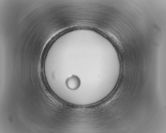 X0000115790880200912041510