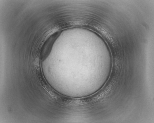 X0000115790881200912041510