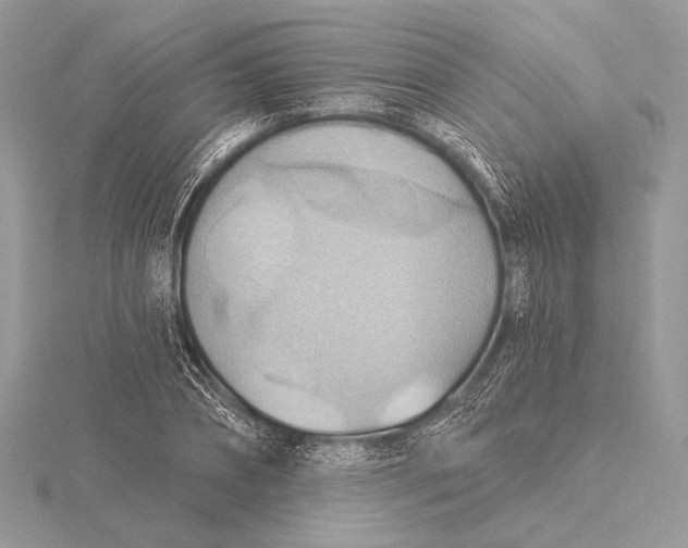 X0000115790882200912041510