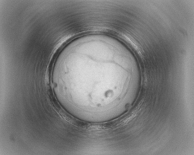 X0000115790883200912041510