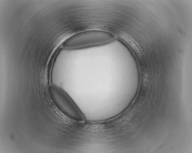 X0000115790884200912041510