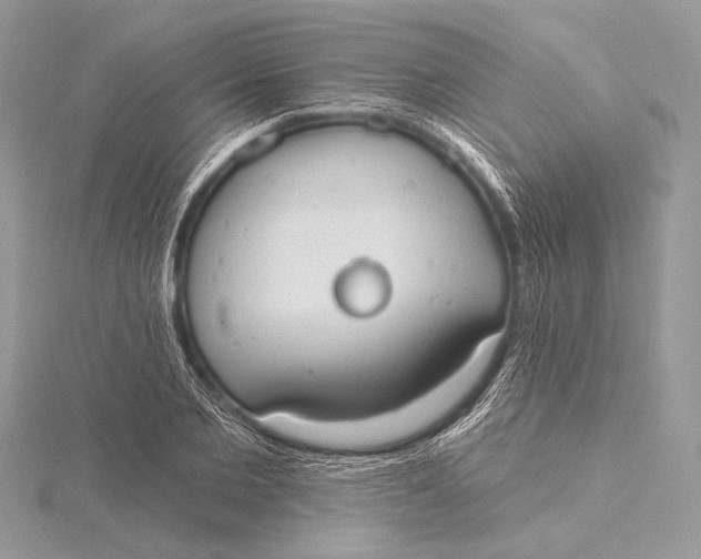 X0000115790885200912041510