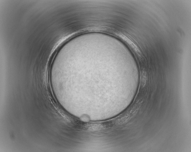 X0000115790886200912041510