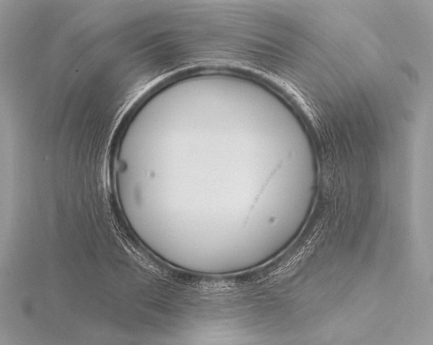 X0000115790887200912041510