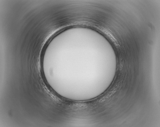 X0000115790888200912041510