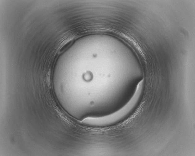 X0000115790889200912041510