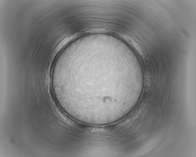 X0000115790890200912041510