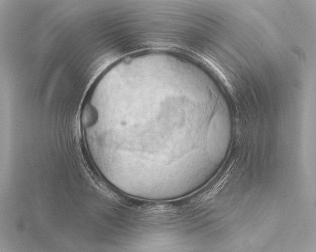 X0000115790891200912041510