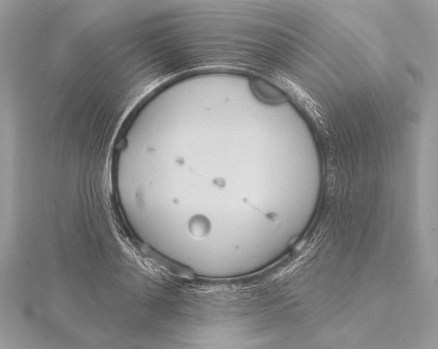 X0000115790892200912041510