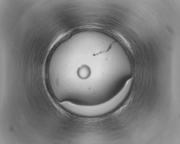 X0000115790893200912041510