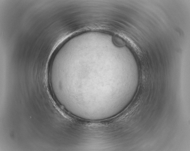 X0000115790894200912041510