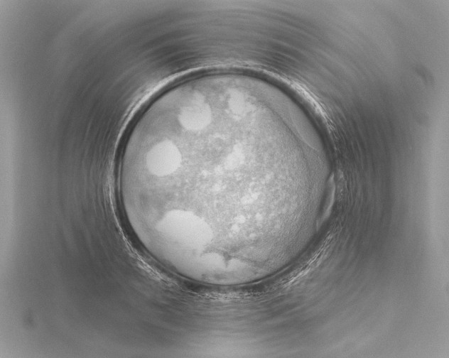 X0000115790895200912041510