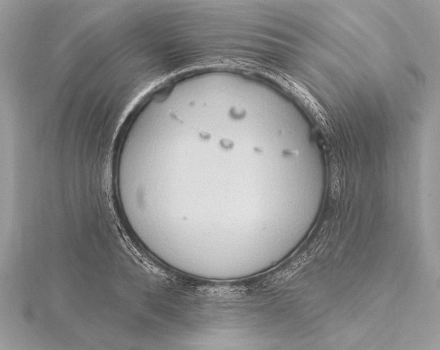 X0000115790896200912041510