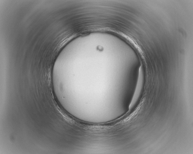 X0000115790897200912041510