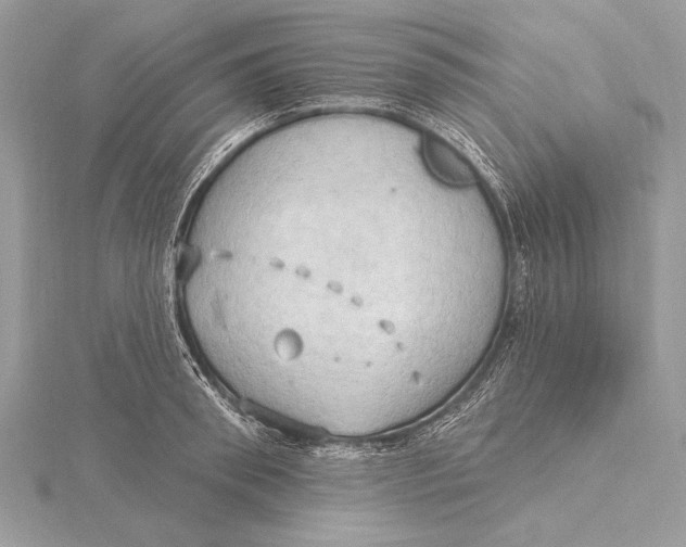 X0000115790898200912041510