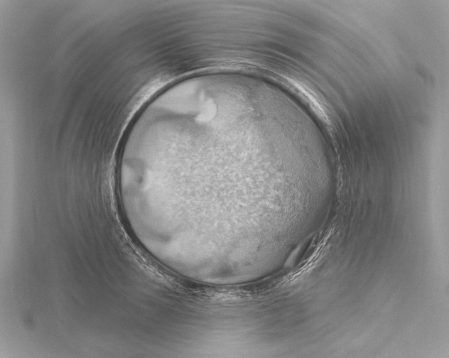 X0000115790899200912041510