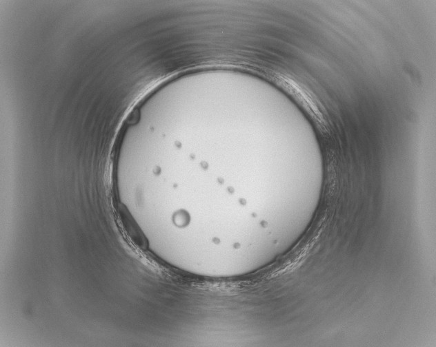 X0000115790900200912041510