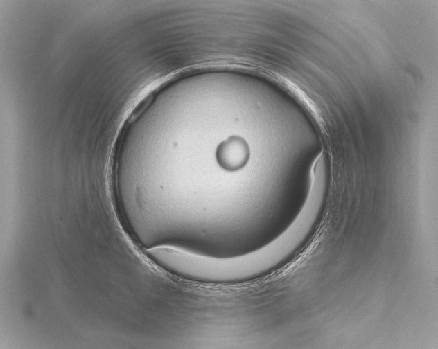 X0000115790901200912041510