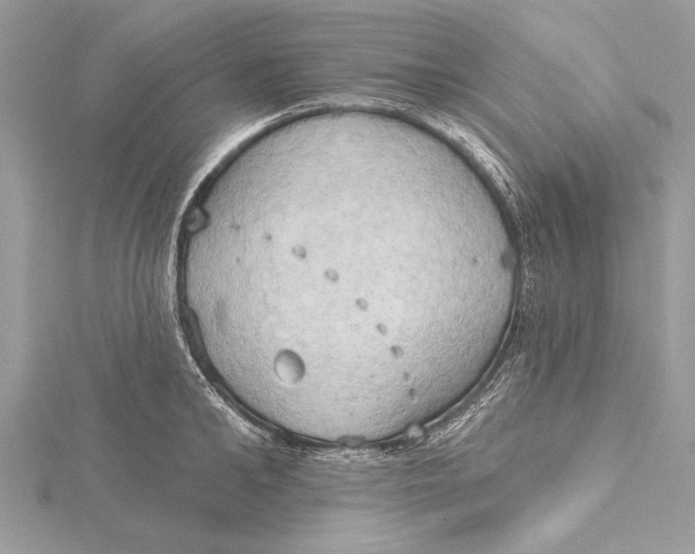 X0000115790902200912041510