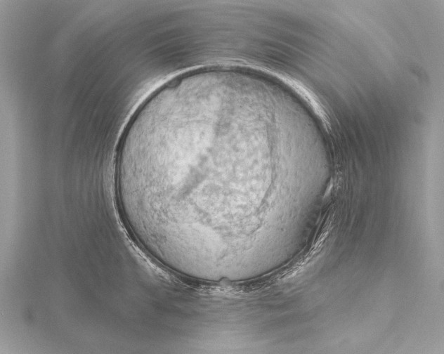 X0000115790903200912041510