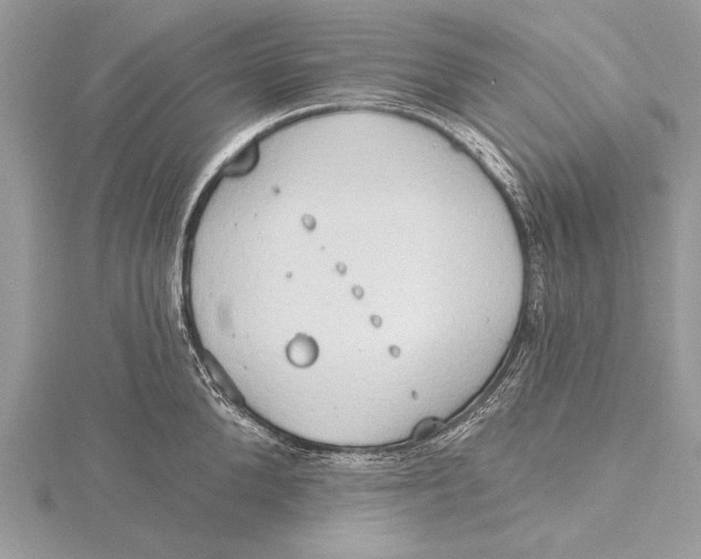 X0000115790904200912041510