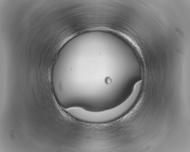 X0000115790905200912041510