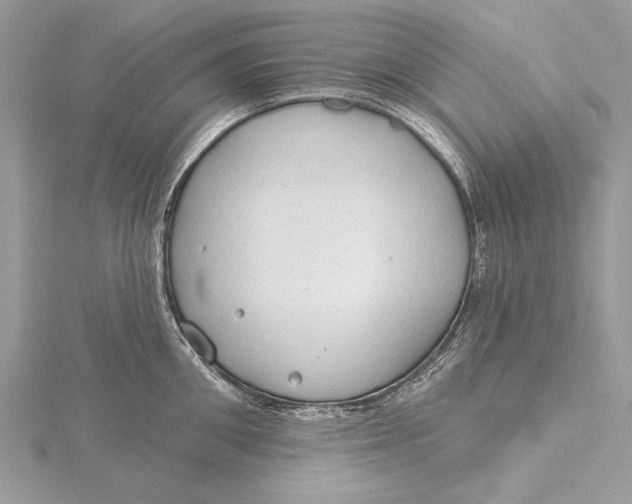 X0000115790906200912041510