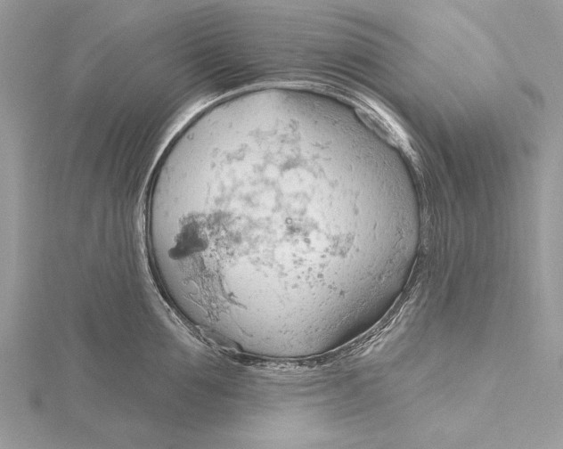 X0000115790907200912041510