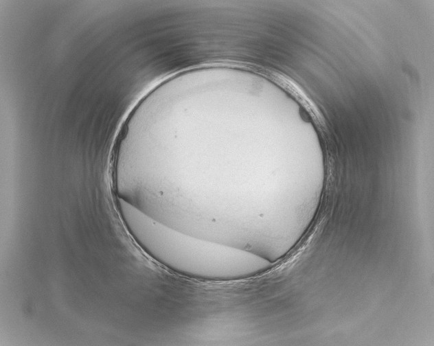 X0000115790908200912041510