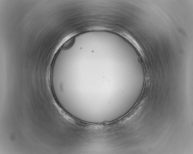 X0000115790909200912041510